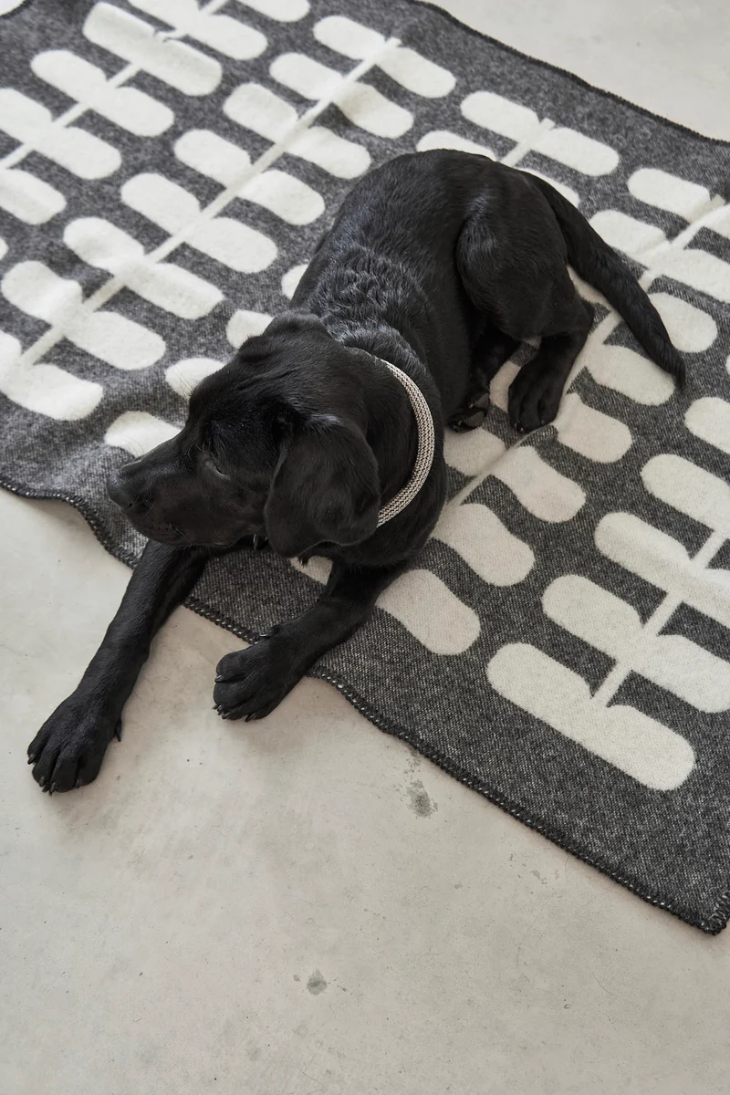 Flora Hundedecke Anthrazit – Natur