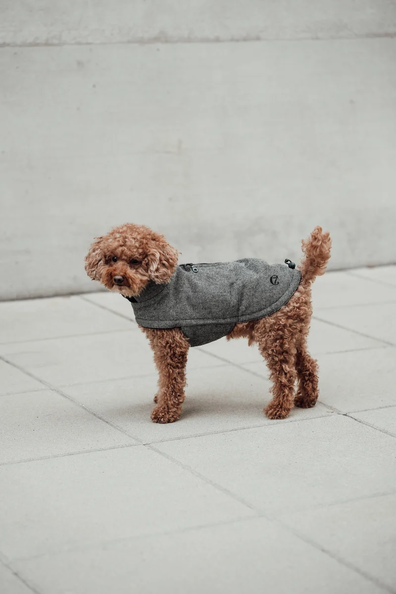 Hundemantel Brooklyn Tweed Black