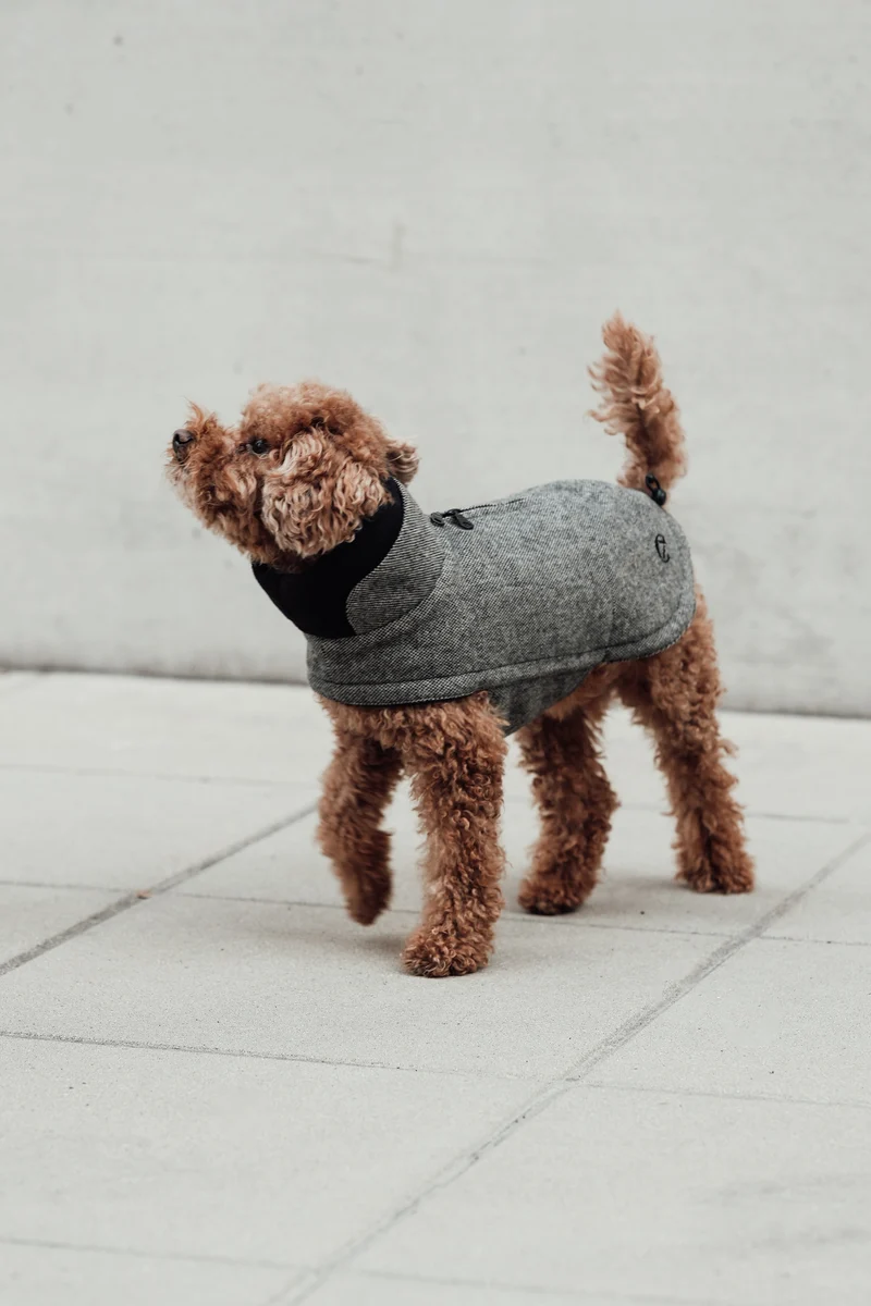 Hundemantel Brooklyn Tweed Black