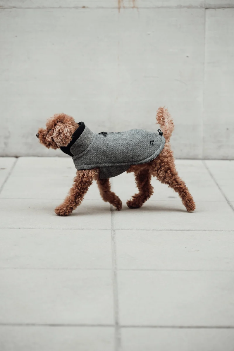 Hundemantel Brooklyn Tweed Black
