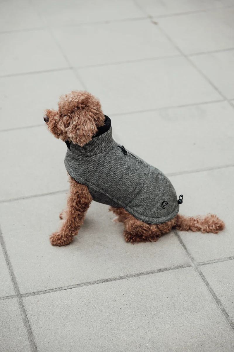 Hundemantel Brooklyn Tweed Black