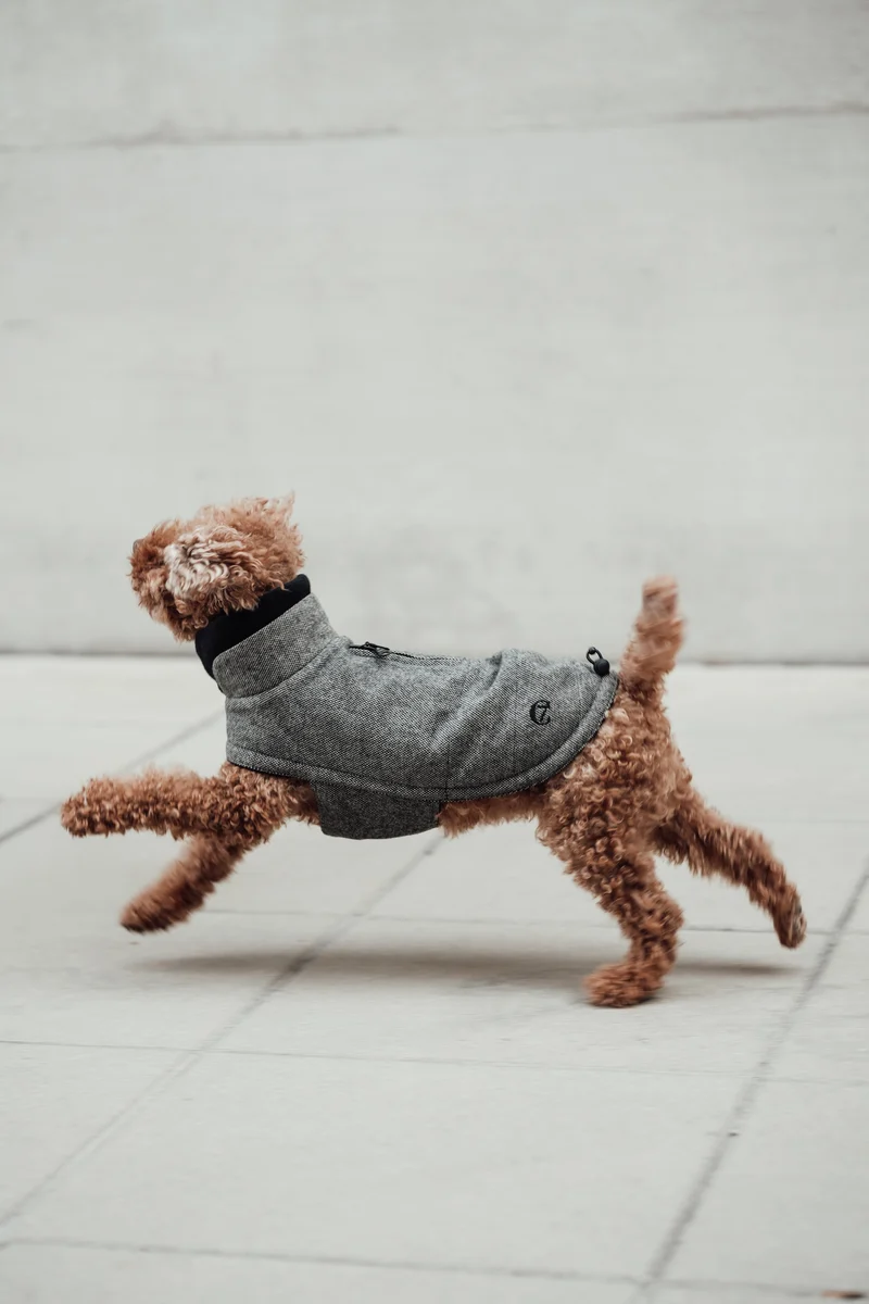Hundemantel Brooklyn Tweed Black