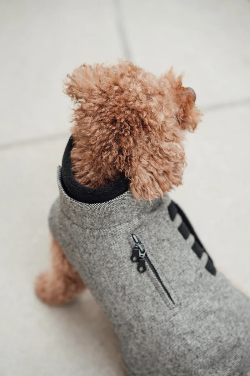 Hundemantel Brooklyn Tweed Black
