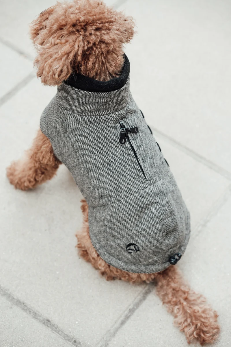 Hundemantel Brooklyn Tweed Black