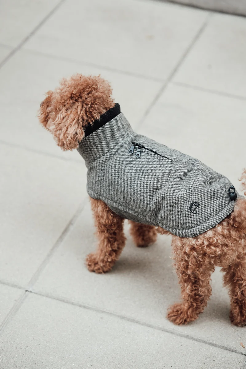 Hundemantel Brooklyn Tweed Black