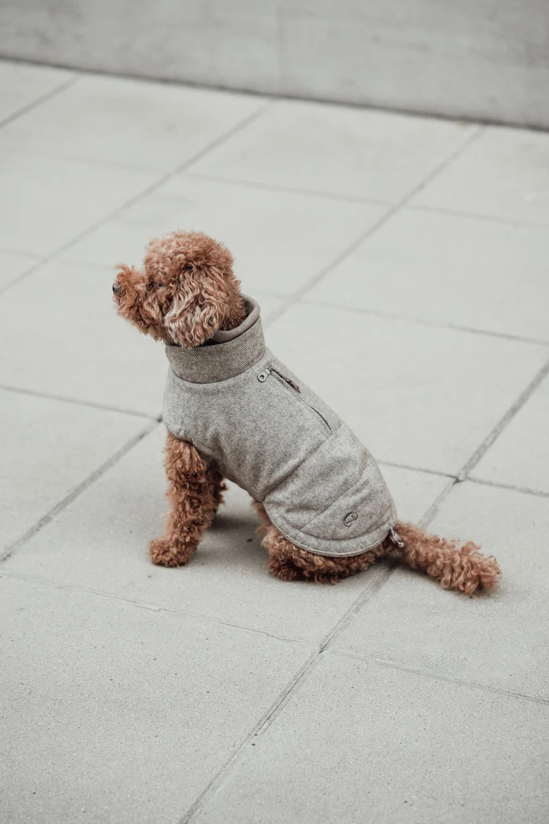 Hundemantel Brooklyn Tweed Beige