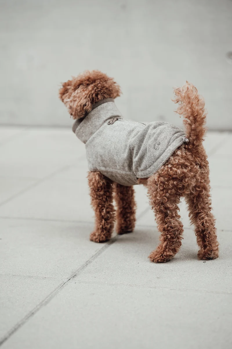 Hundemantel Brooklyn Tweed Beige