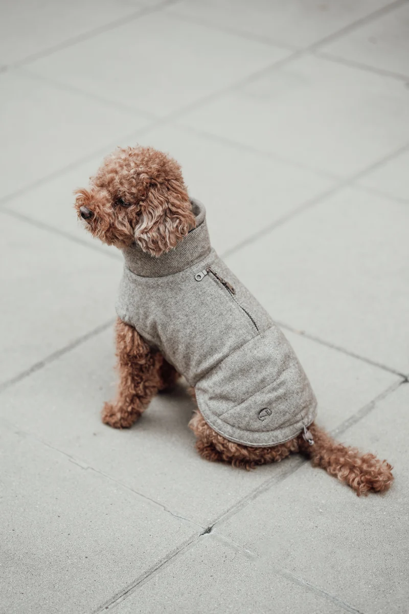 Hundemantel Brooklyn Tweed Beige