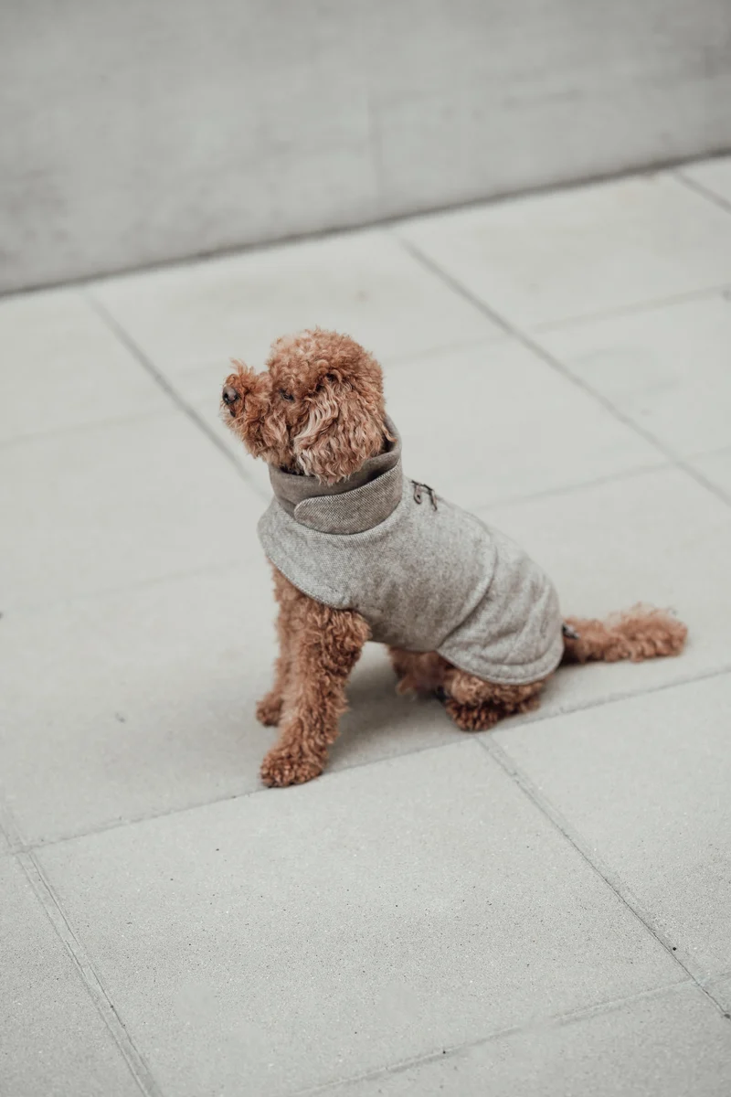 Hundemantel Brooklyn Tweed Beige