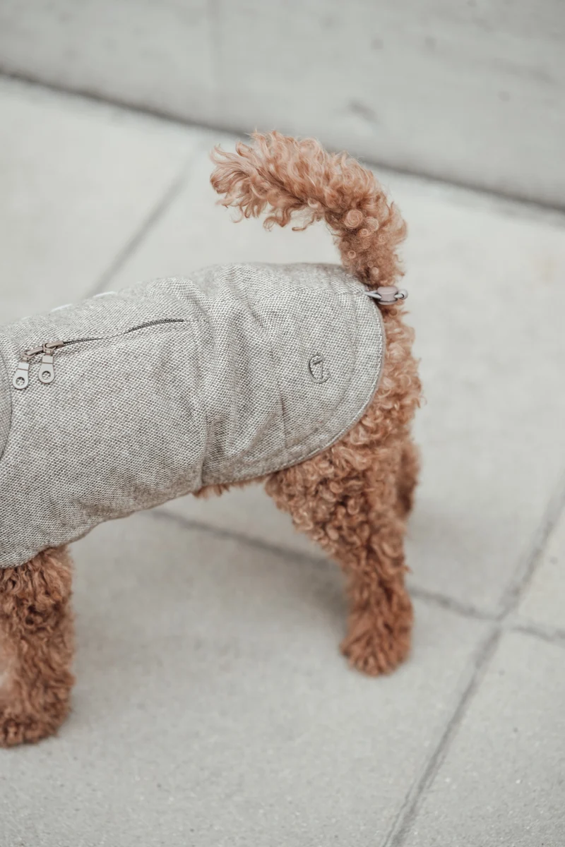 Hundemantel Brooklyn Tweed Beige