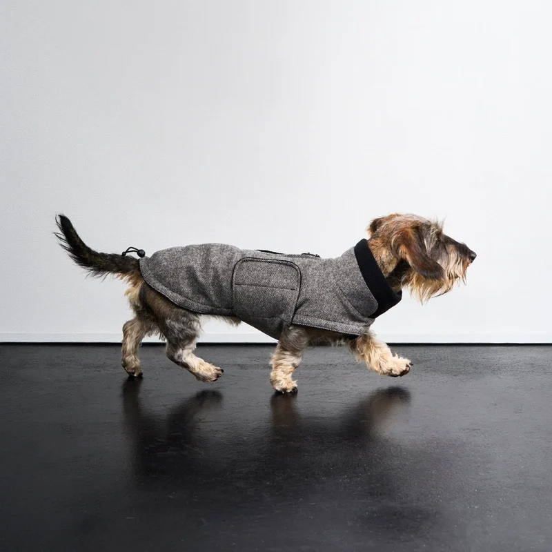 Hundemantel Brooklyn DACKEL Tweed Black