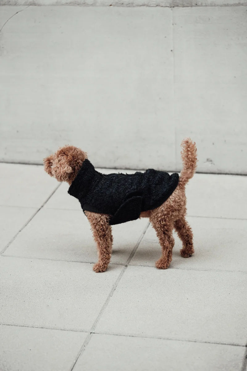 Hundepullover Gotland Anthra
