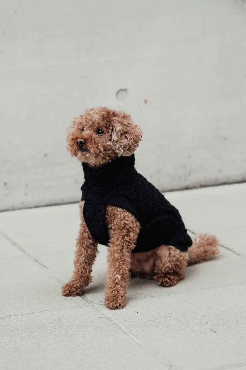 Hundepullover Gotland Anthra