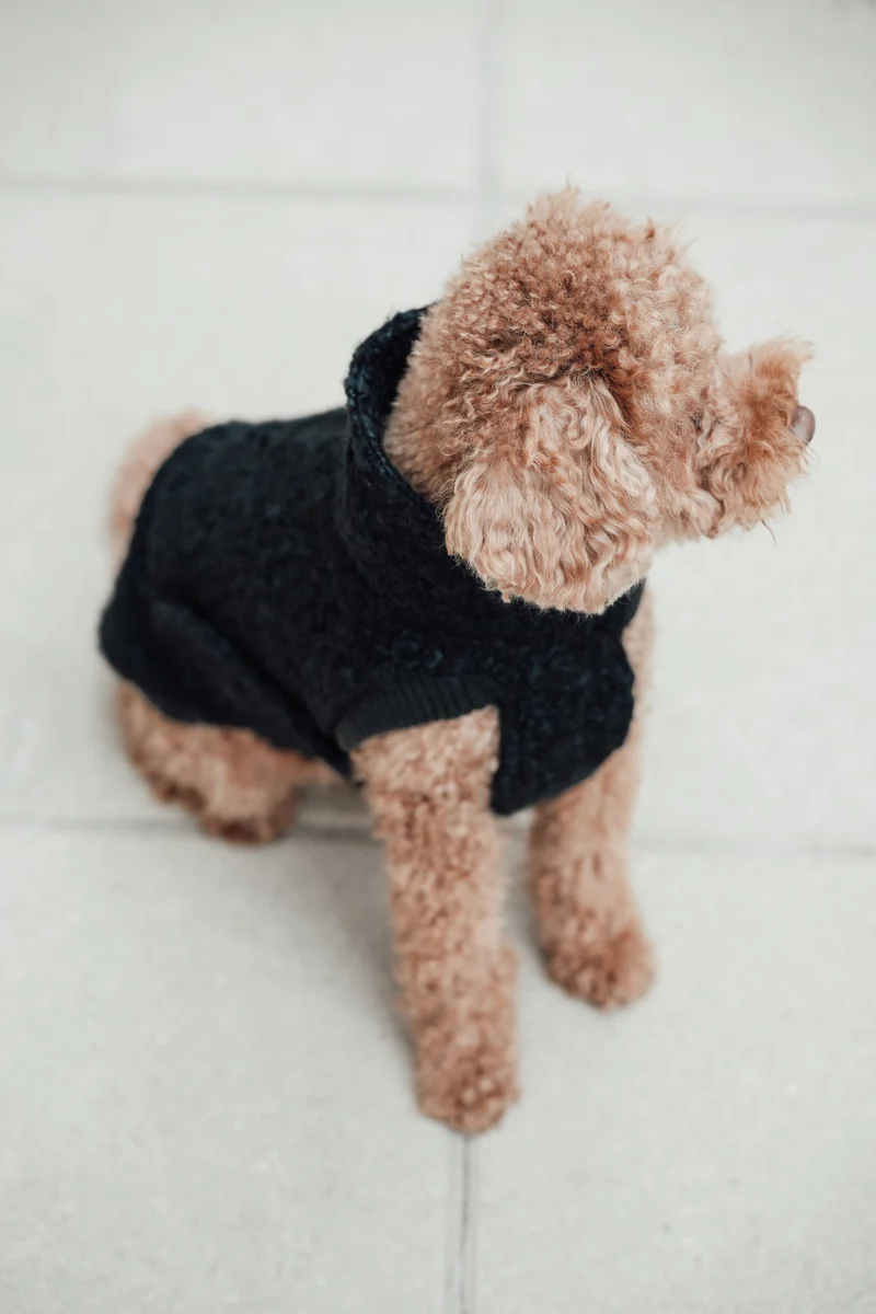 Hundepullover Gotland Anthra