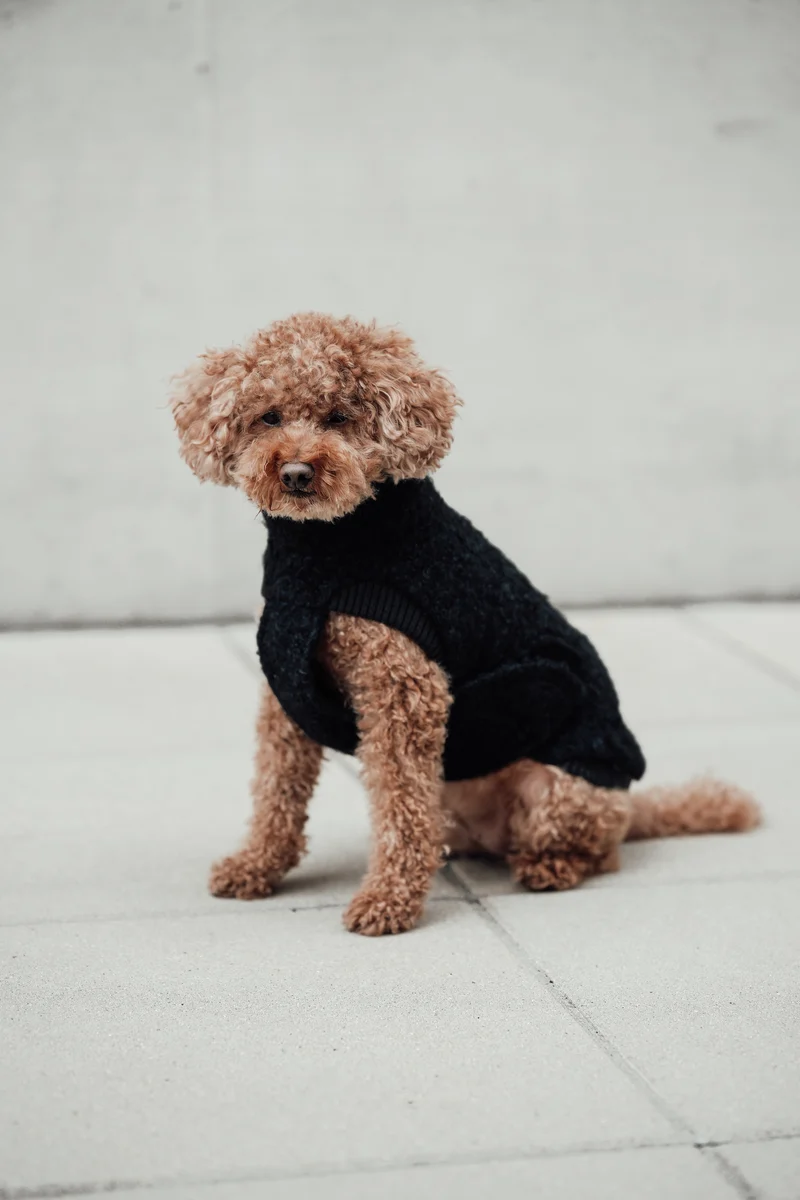 Hundepullover Gotland Anthra