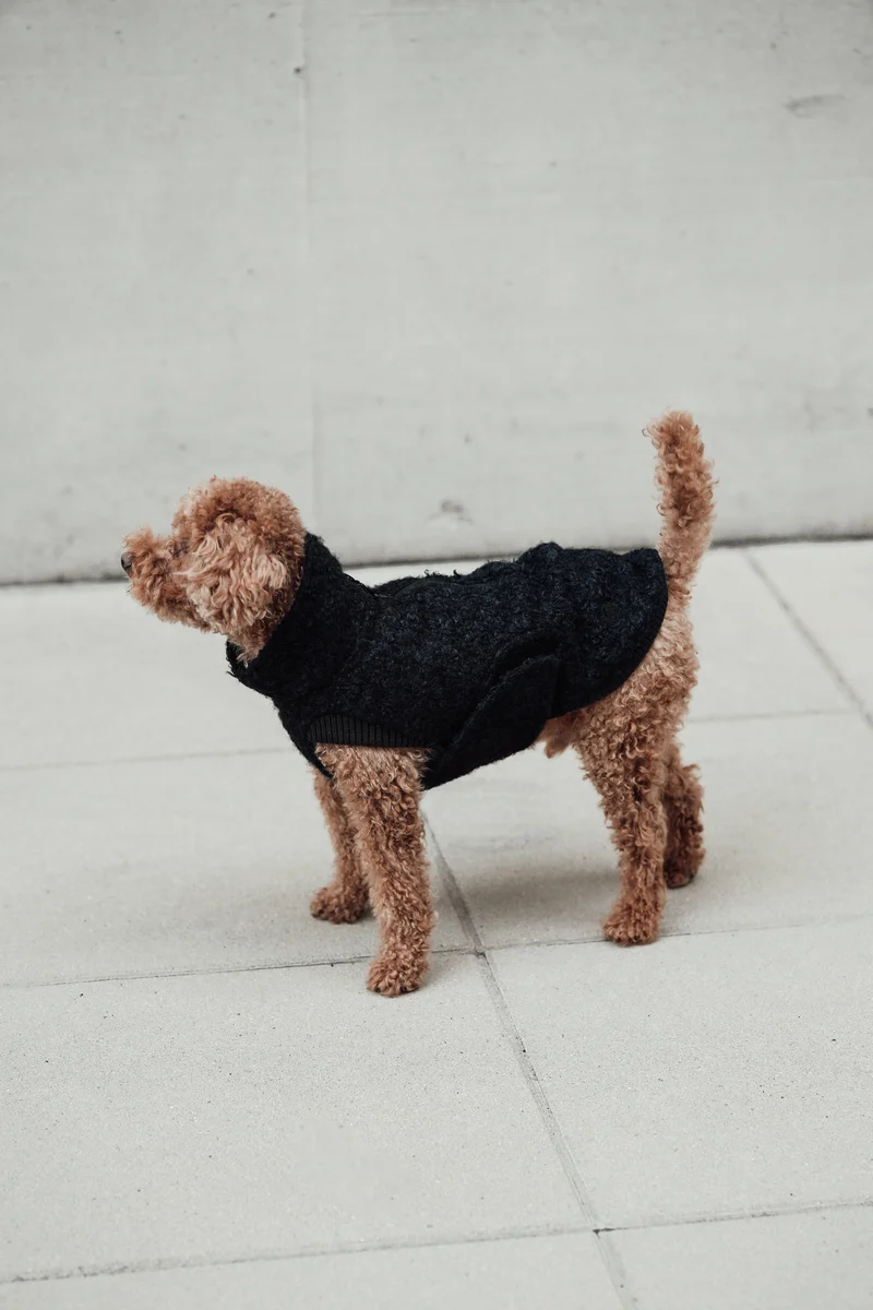 Hundepullover Gotland Anthra