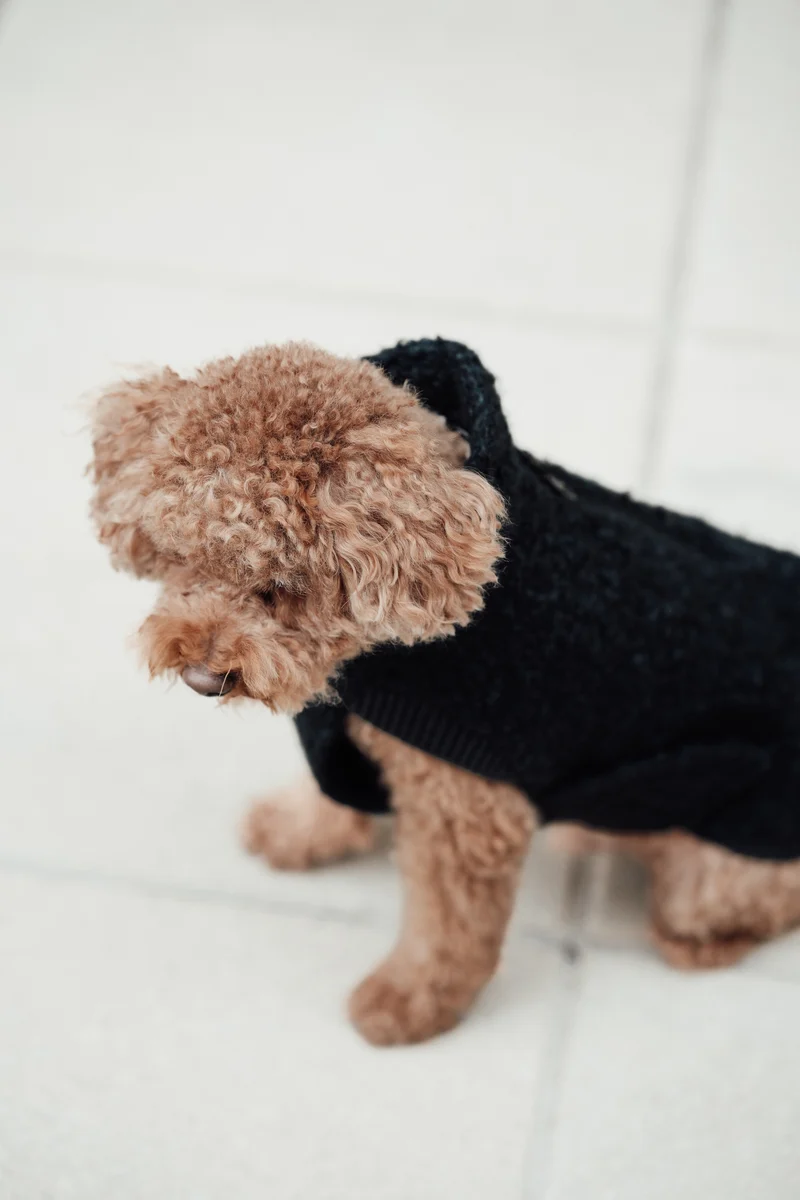 Hundepullover Gotland Anthra