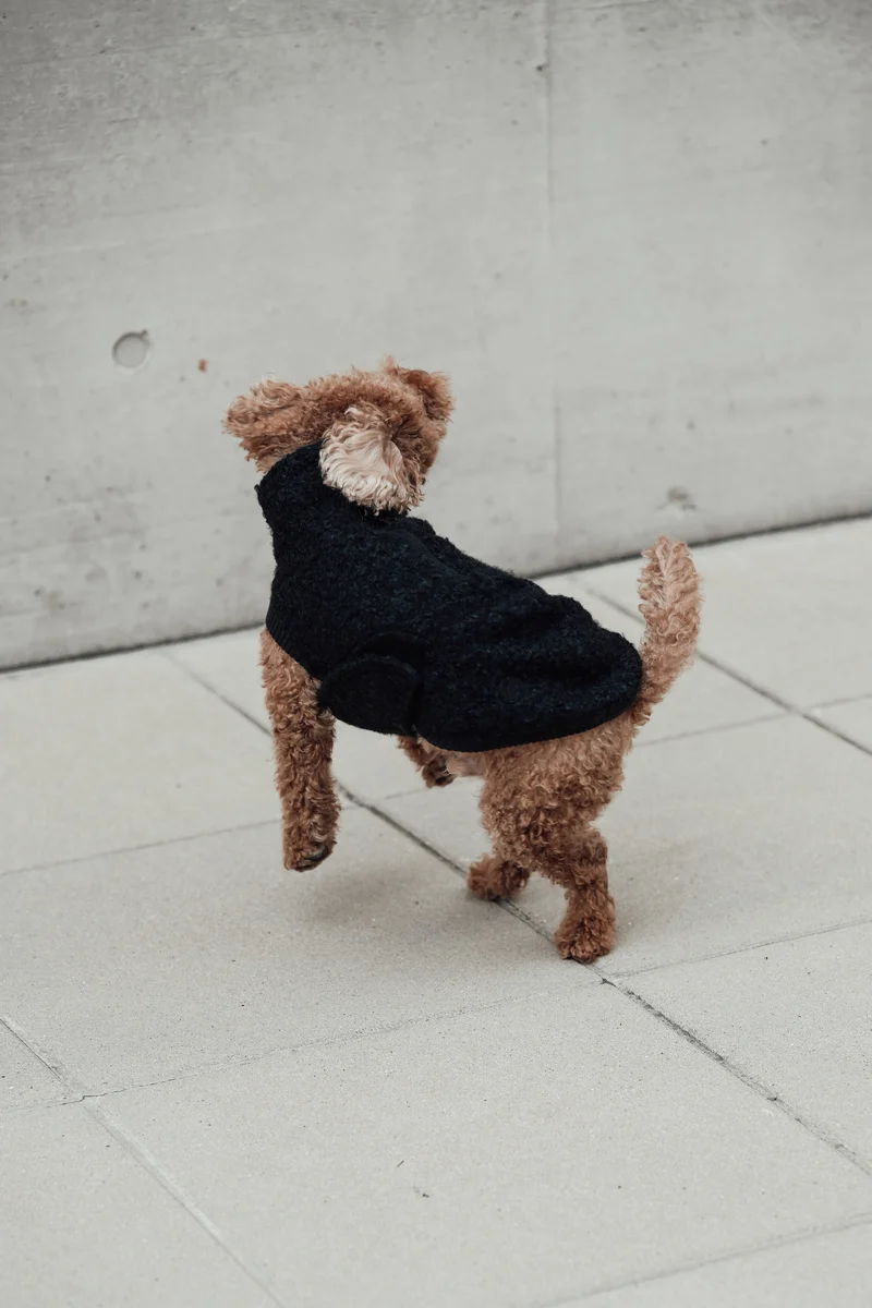 Hundepullover Gotland Anthra