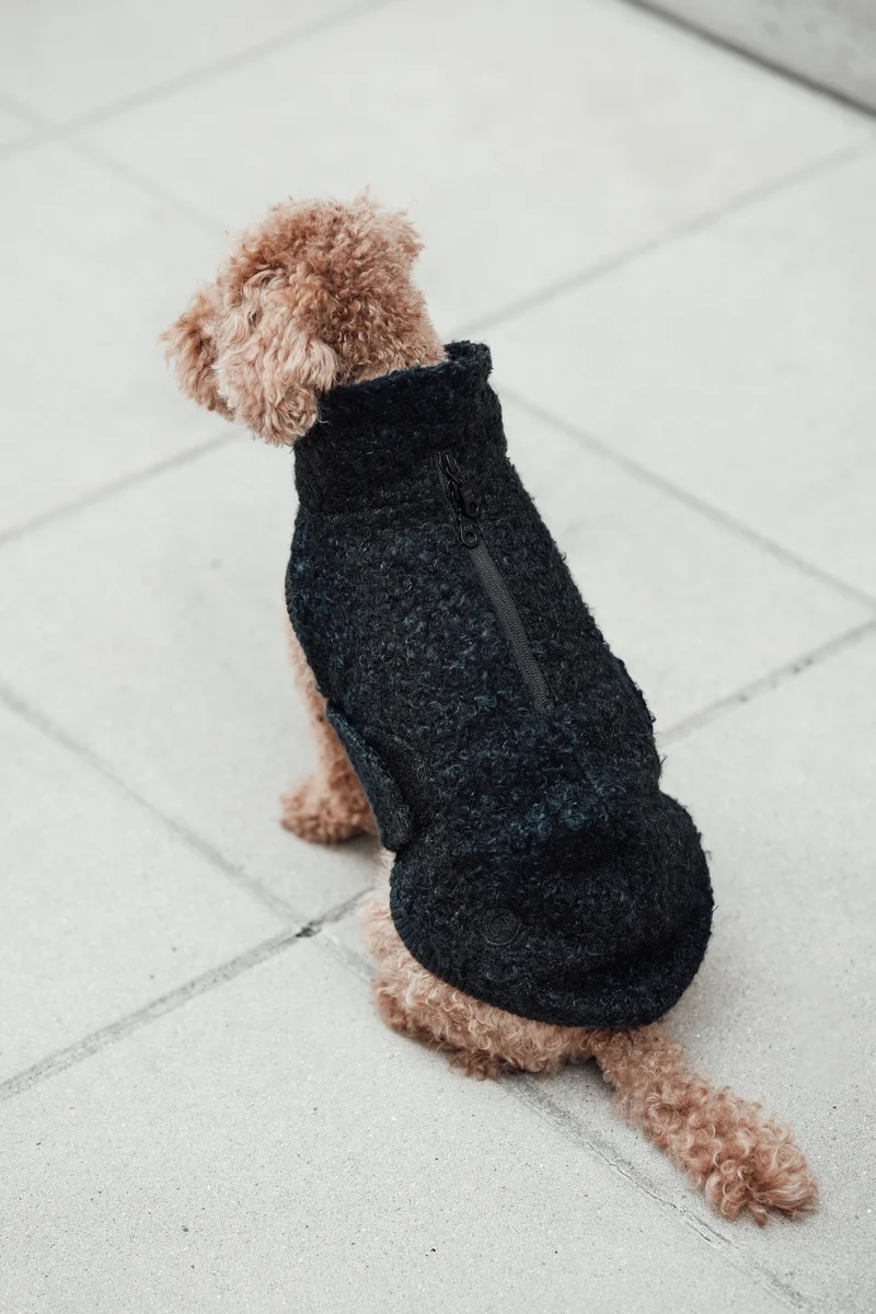 Hundepullover Gotland Anthra