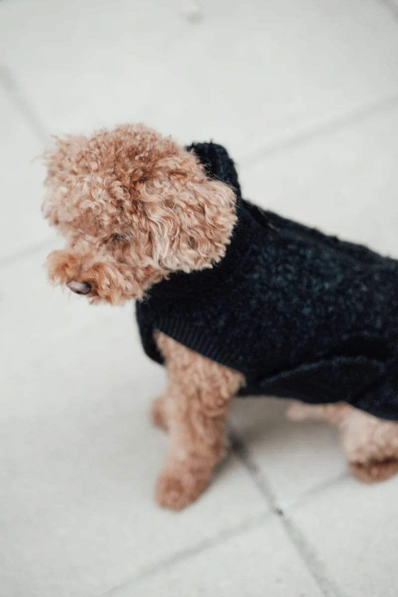 Hundepullover Gotland Anthra