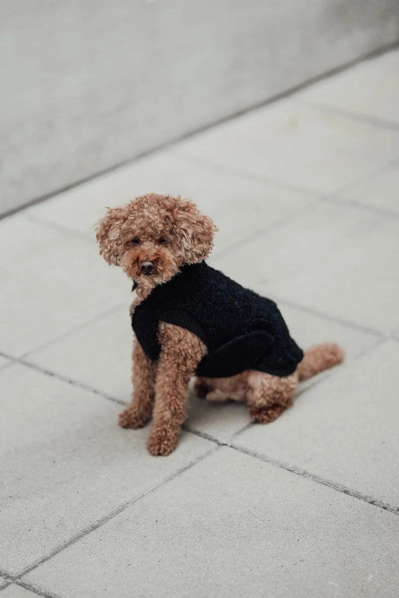 Hundepullover Gotland Anthra