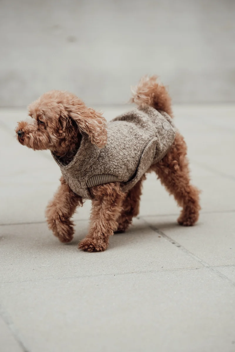 Hundepullover Gotland Sandy Brown