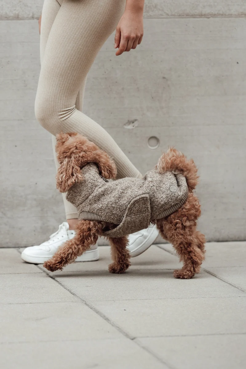 Hundepullover Gotland Sandy Brown