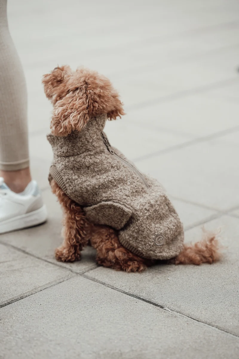 Hundepullover Gotland Sandy Brown