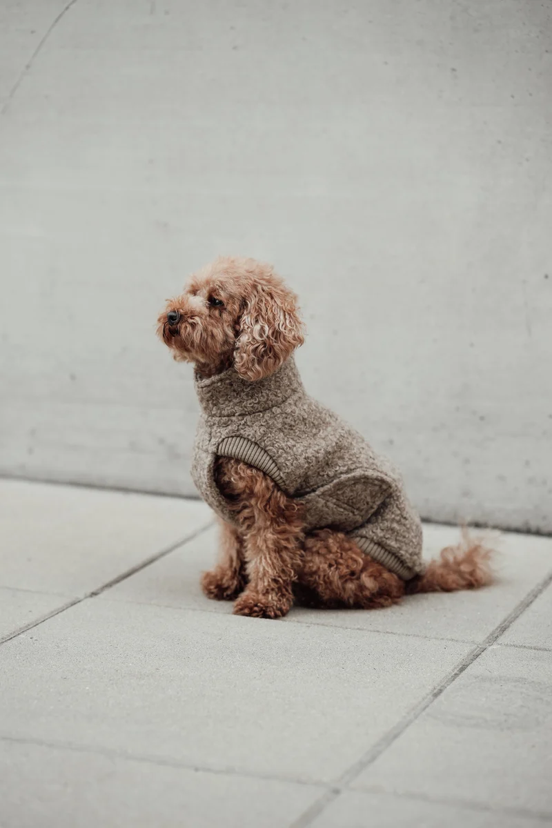 Hundepullover Gotland Sandy Brown