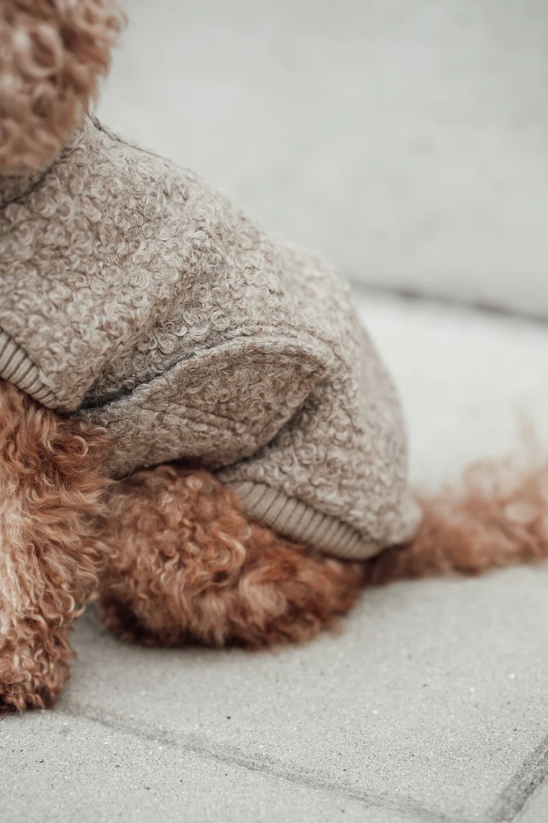 Hundepullover Gotland Sandy Brown