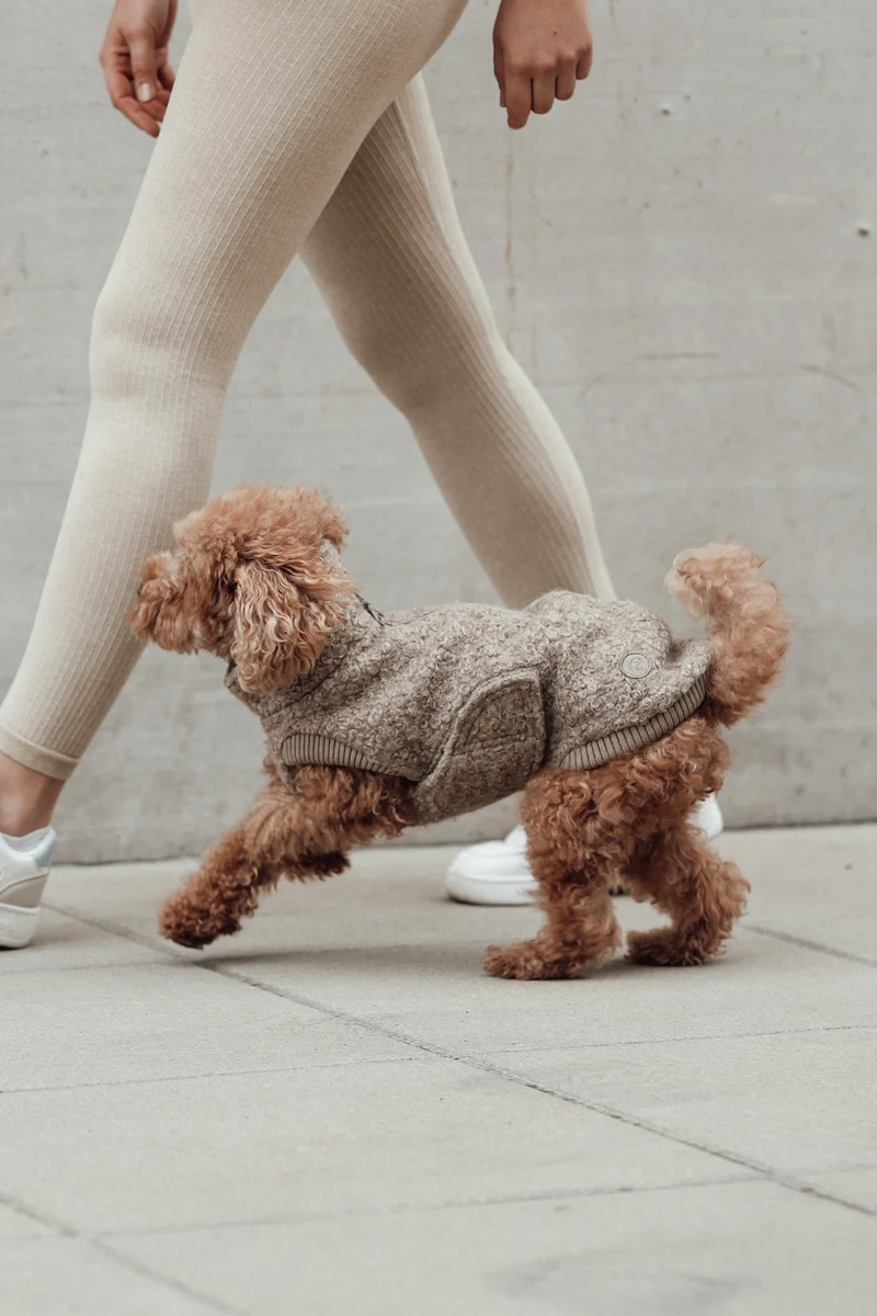 Hundepullover Gotland Sandy Brown