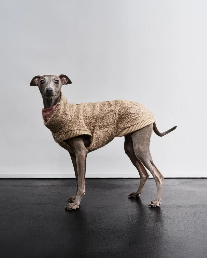 Hundepullover Gotland Sandy Brown