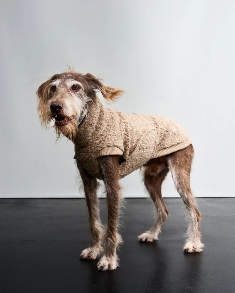 Hundepullover Gotland Sandy Brown
