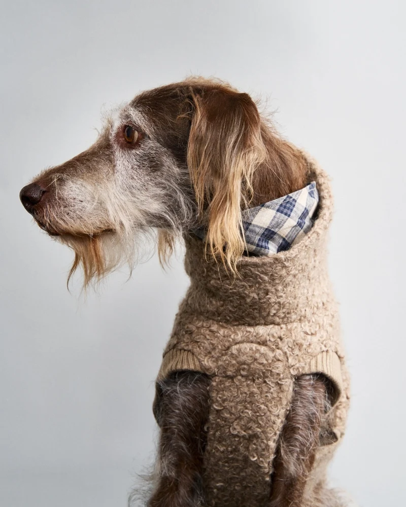 Hundepullover Gotland Sandy Brown