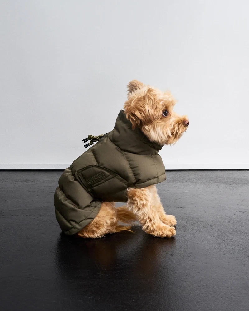 Hundemantel Everest Light Olive