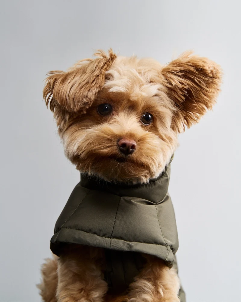 Hundemantel Everest Light Olive