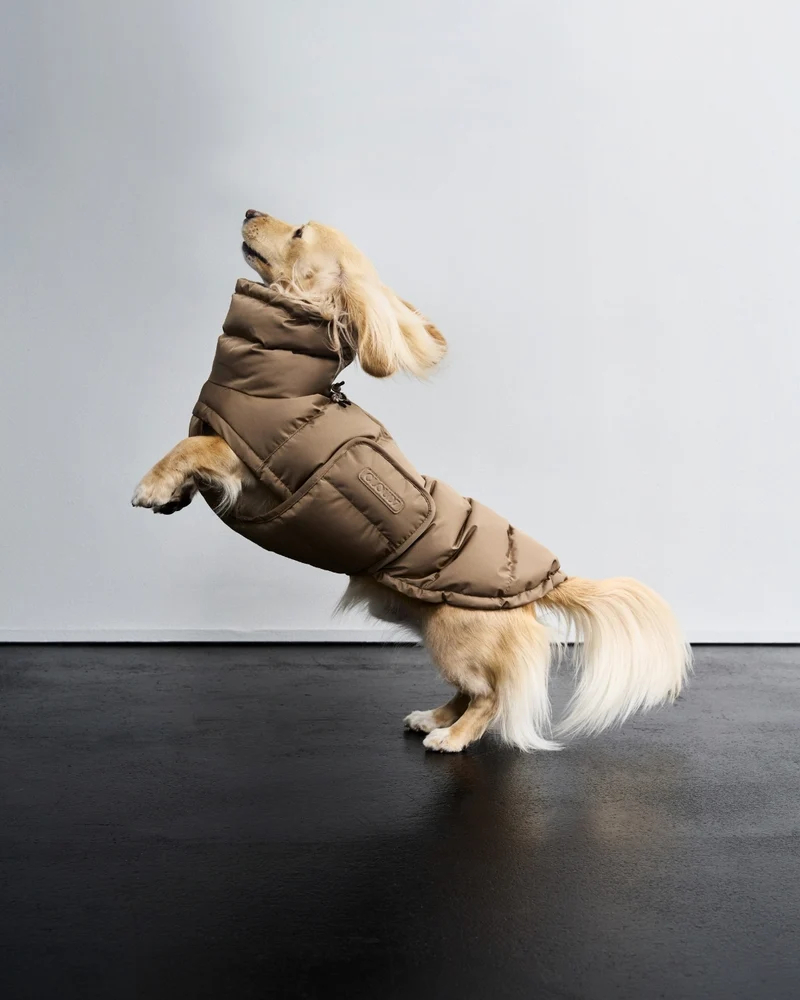 Hundemantel DACKEL Alaska Sandy Brown