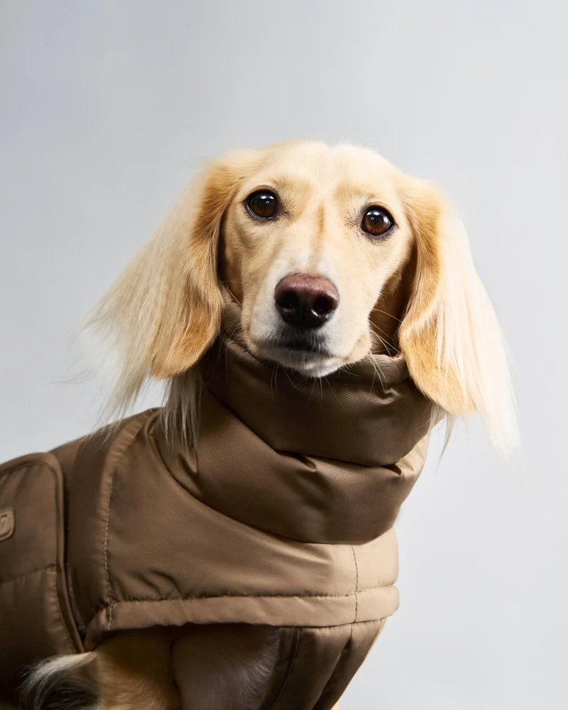Hundemantel DACKEL Alaska Sandy Brown