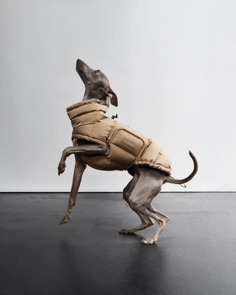 Hundemantel Alaska Sandy Brown