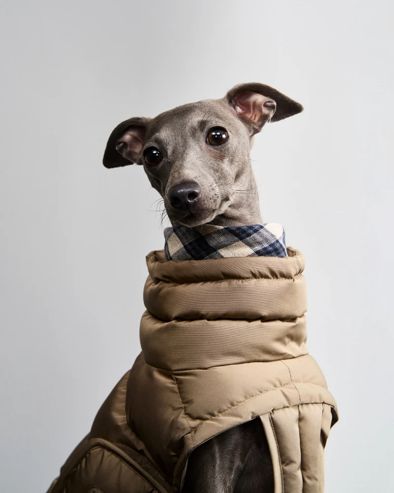 Hundemantel Alaska Sandy Brown