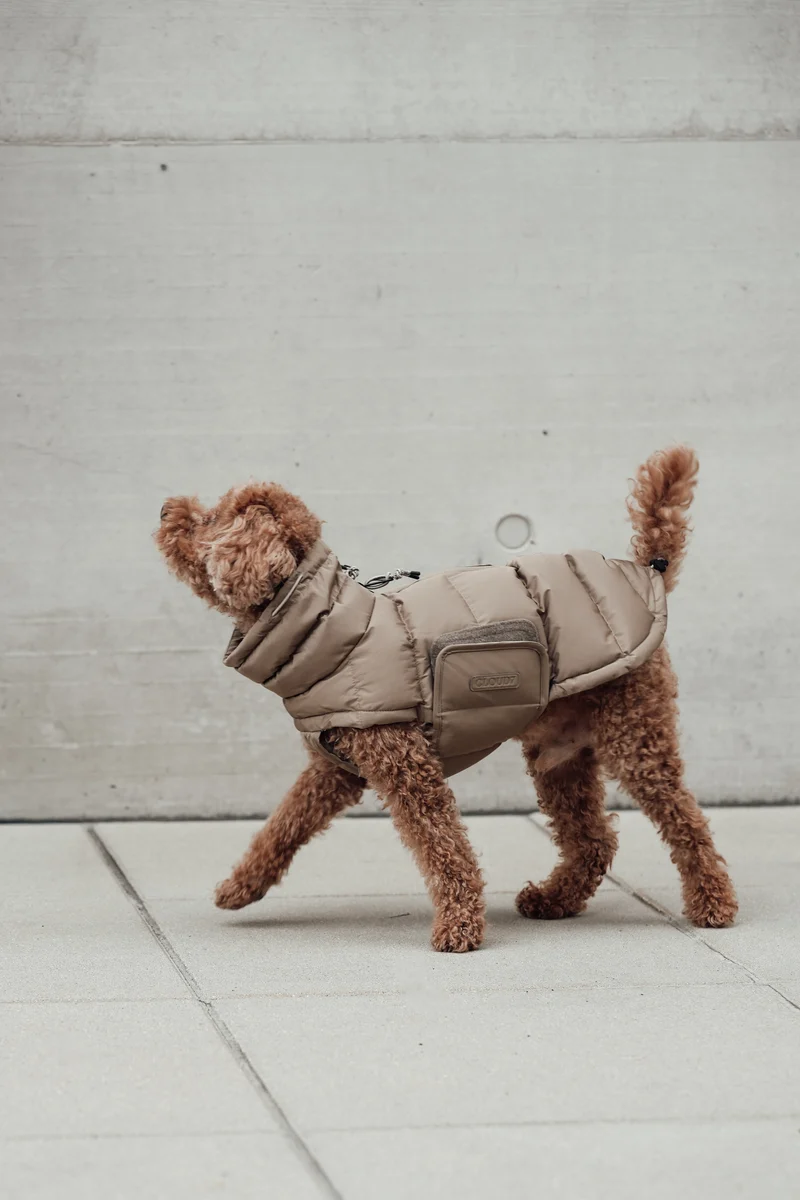 Hundemantel Alaska Sandy Brown