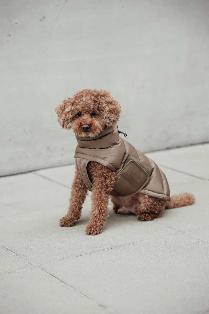 Hundemantel Alaska Sandy Brown