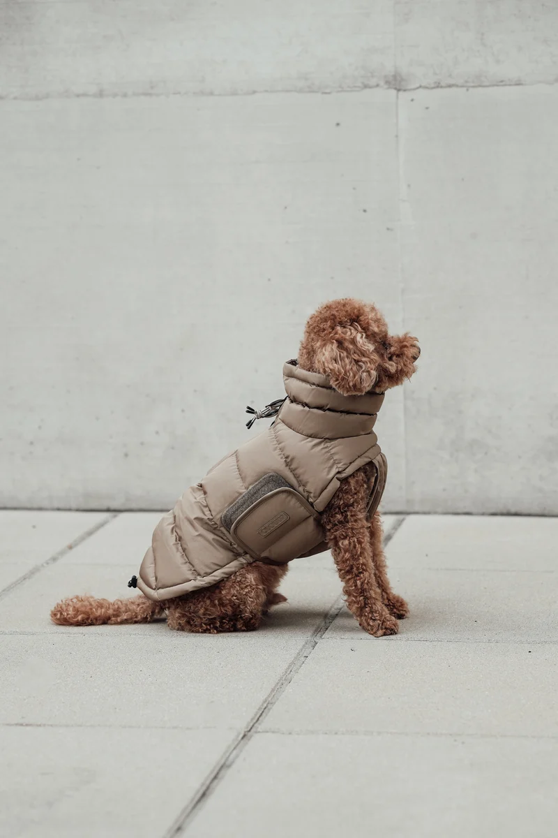 Hundemantel Alaska Sandy Brown