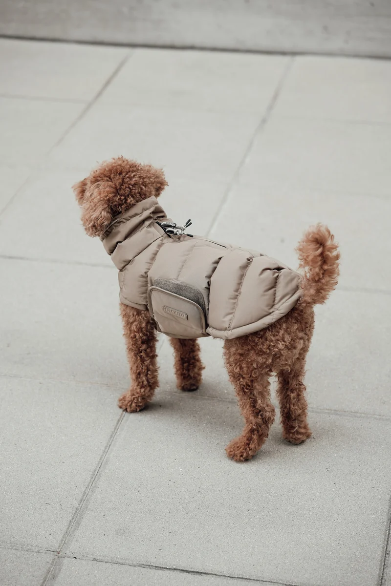 Hundemantel Alaska Sandy Brown