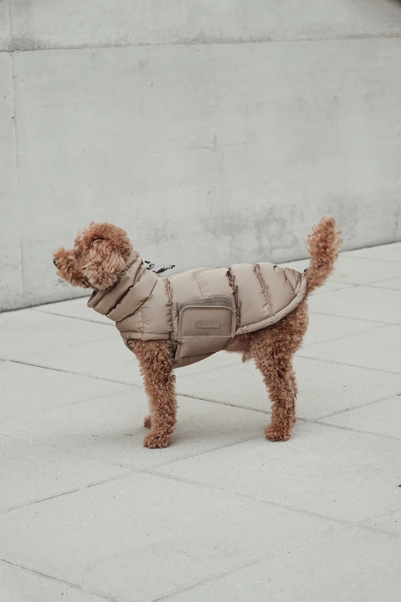 Hundemantel Alaska Sandy Brown