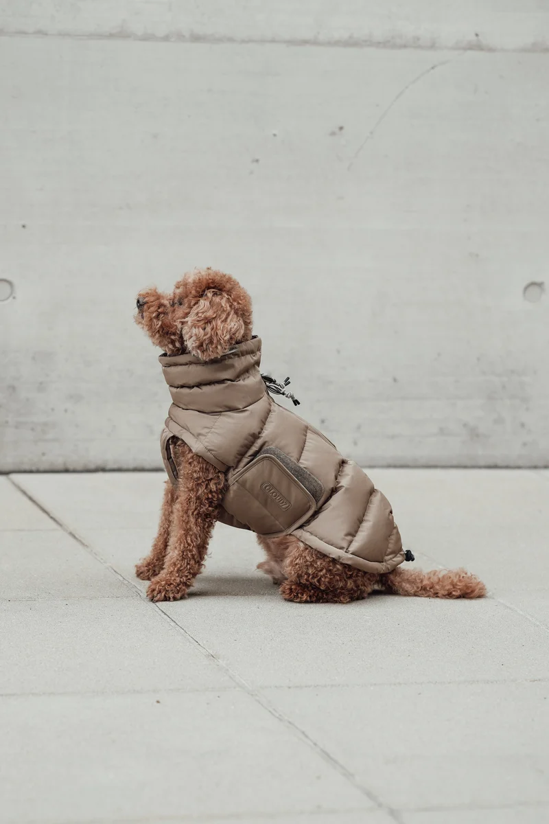 Hundemantel Alaska Sandy Brown