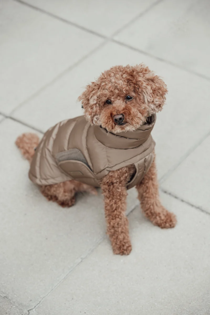 Hundemantel Alaska Sandy Brown