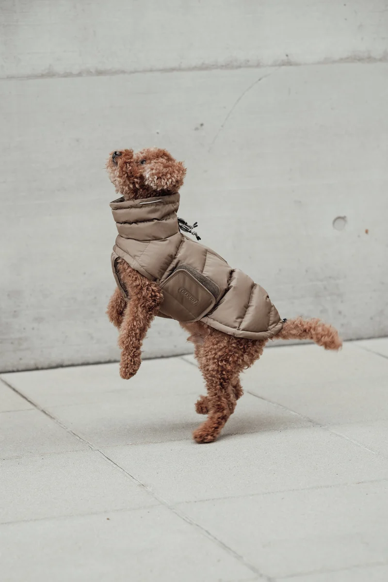 Hundemantel Alaska Sandy Brown