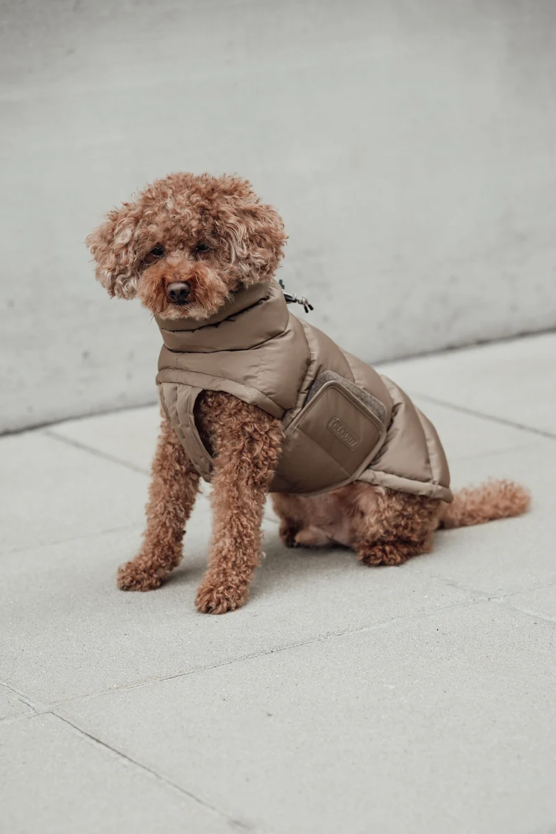 Hundemantel Alaska Sandy Brown
