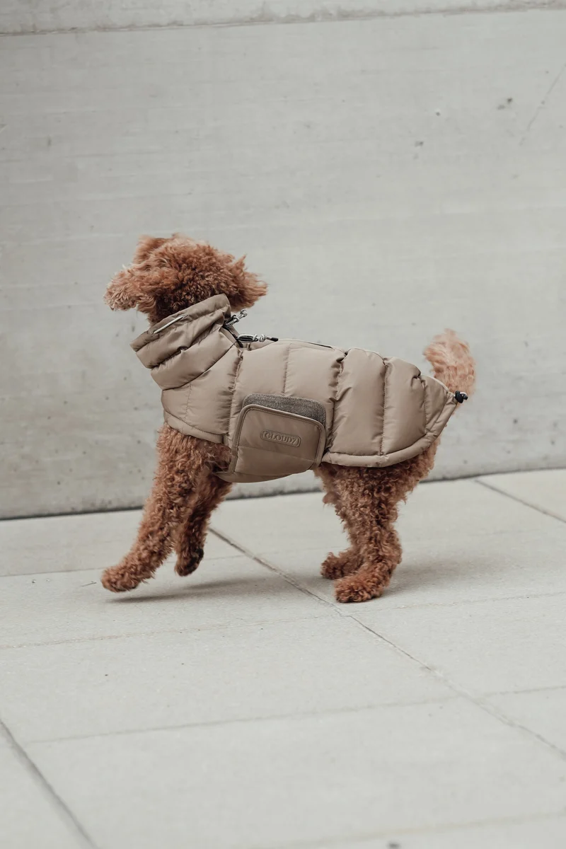 Hundemantel Alaska Sandy Brown